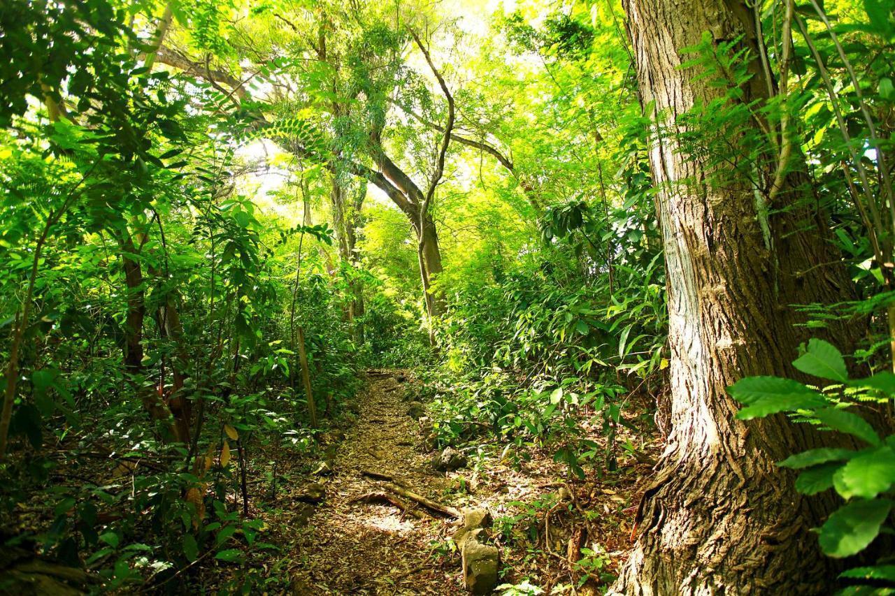 Pousada Do Vale Fernando de Noronha Esterno foto