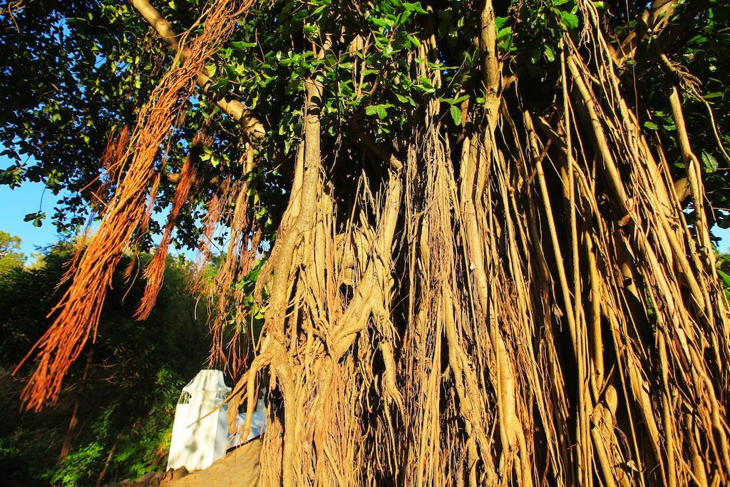 Pousada Do Vale Fernando de Noronha Esterno foto